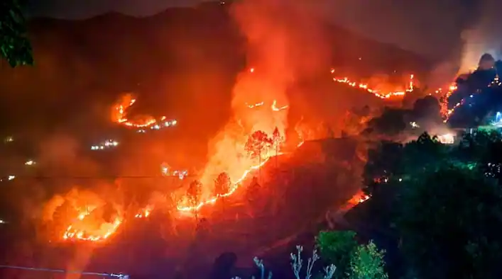 नैनीताल के जंगल में लगी भयानक आग